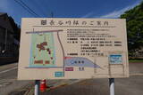 越後 長谷川邸の写真