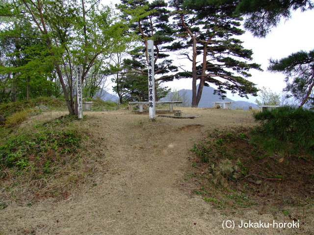 越後 平林加護山城の写真