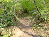 越後 平林加護山城の写真