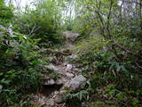 越後 平林加護山城の写真