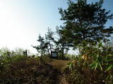 越後 稗生城の写真