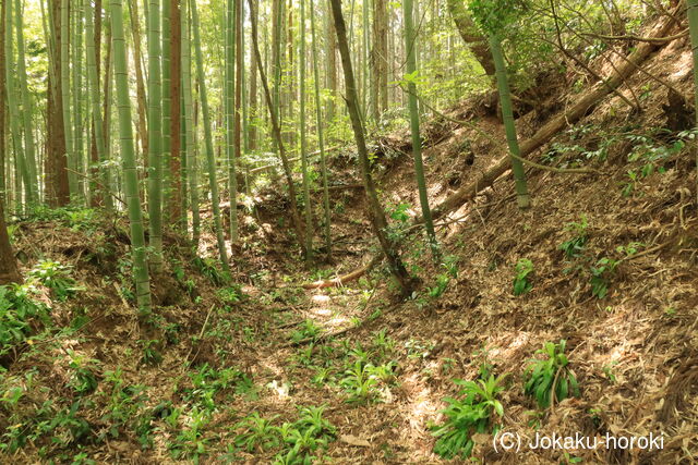 越後 本堂山城の写真