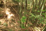 越後 本堂山城の写真