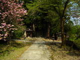 越後 飯田城の写真