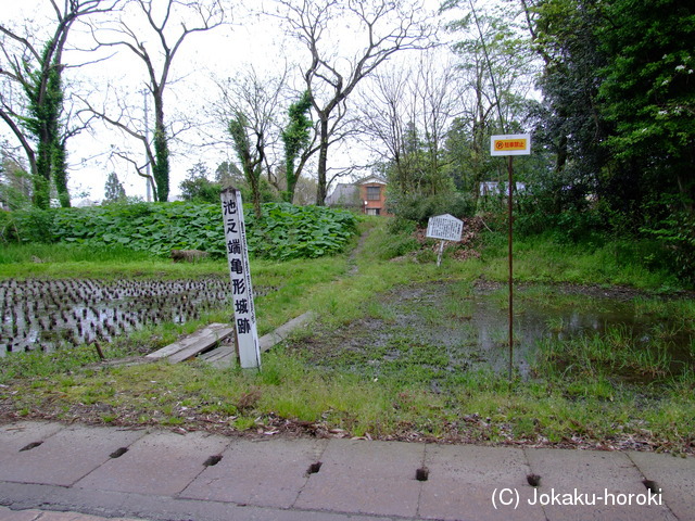 越後 池ノ端城の写真