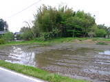 越後 池ノ端城の写真