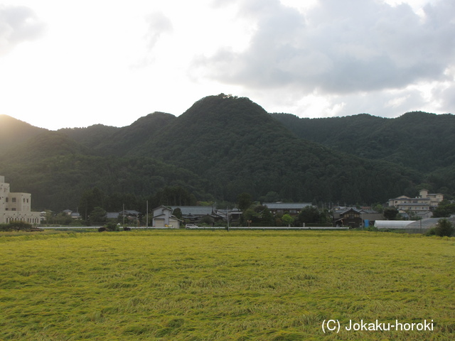 越後 松嵩山城の写真