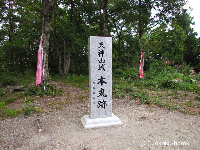 越後 天神山城の写真