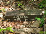 越後 柿城の写真