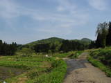 越後 柿城の写真