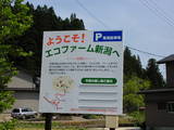 越後 柿館の写真