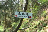 越後 春日山城の写真