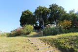越後 京ヶ岳城の写真