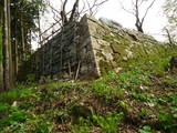 越後 村上城の写真