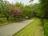 越後 村松城の写真