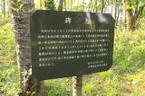 越後 村岡城の写真