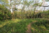 越後 村岡城の写真