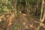越後 村岡城の写真