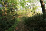 越後 村岡城の写真
