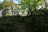 越後 村岡城の写真