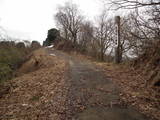 越後 室野城の写真