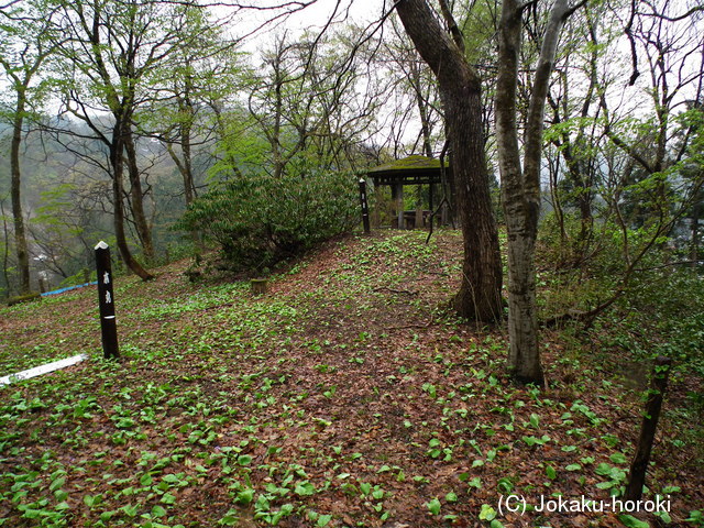 越後 虫川城の写真