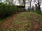 越後 虫川城の写真