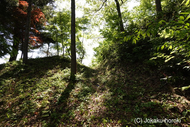 越後 中山城の写真