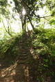 越後 中山城の写真