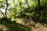 越後 中山城の写真