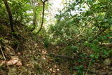 越後 中山城の写真