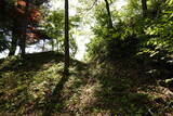 越後 中山城の写真