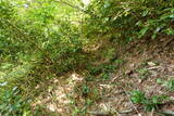 越後 中山城の写真