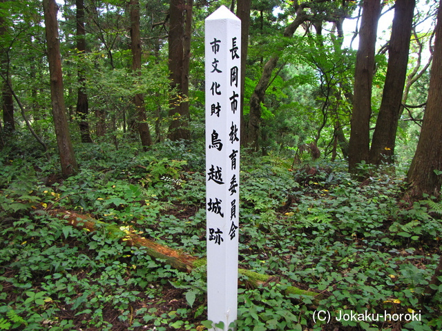 越後 鳥越城の写真