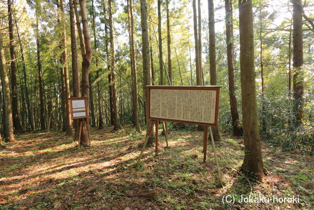 越後 夏戸城(本城)の写真