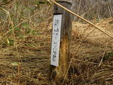 根知城(上城山城)写真