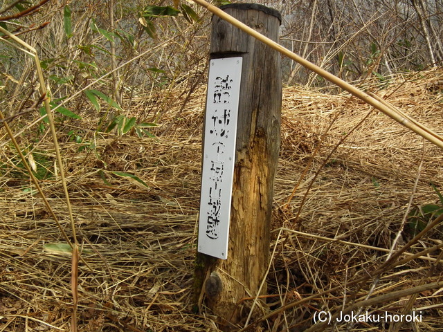 越後 根知城(上城山城)の写真