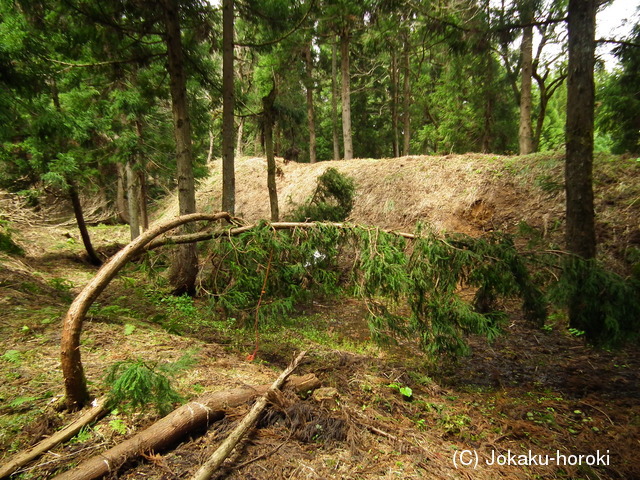 越後 根知城(栗山城)の写真