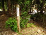 越後 根知城(栗山城)の写真