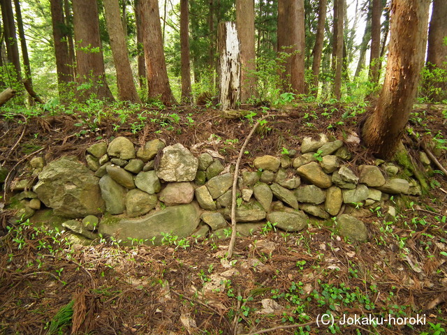 越後 根知城(根小屋城)の写真