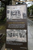 越後 新潟城の写真