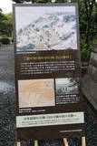 越後 新潟城の写真