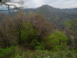 越後 直峰城の写真