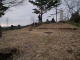 越後 大井田城の写真