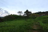 越後 大川城の写真