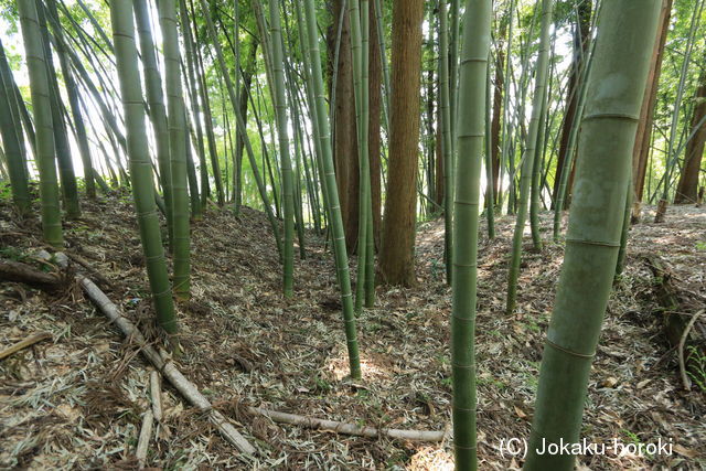 越後 大滝城の写真