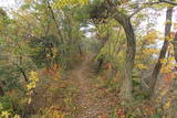 越後 勝山城(糸魚川市)の写真