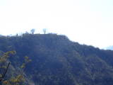 越後 坂戸城の写真