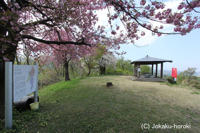 越後 鮫ヶ尾城の写真