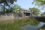 越後 新発田城の写真